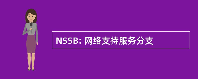 NSSB: 网络支持服务分支