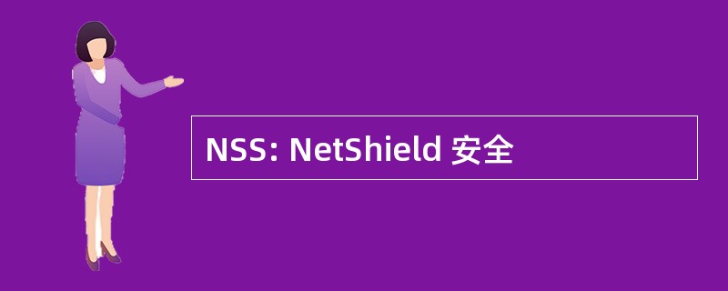 NSS: NetShield 安全