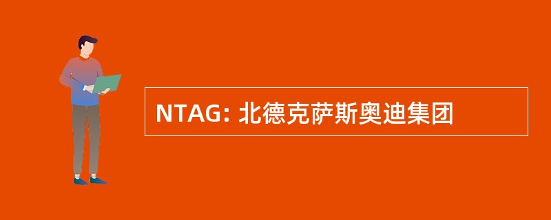 NTAG: 北德克萨斯奥迪集团