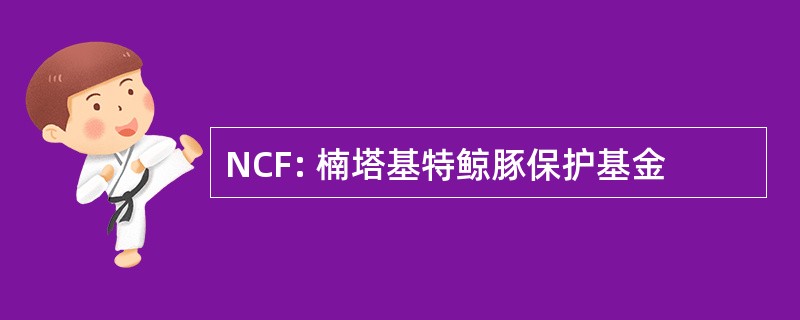 NCF: 楠塔基特鲸豚保护基金