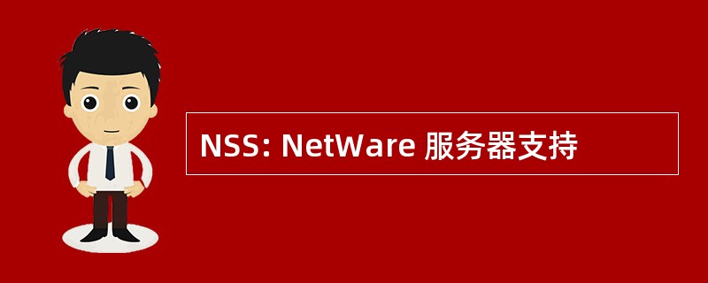 NSS: NetWare 服务器支持