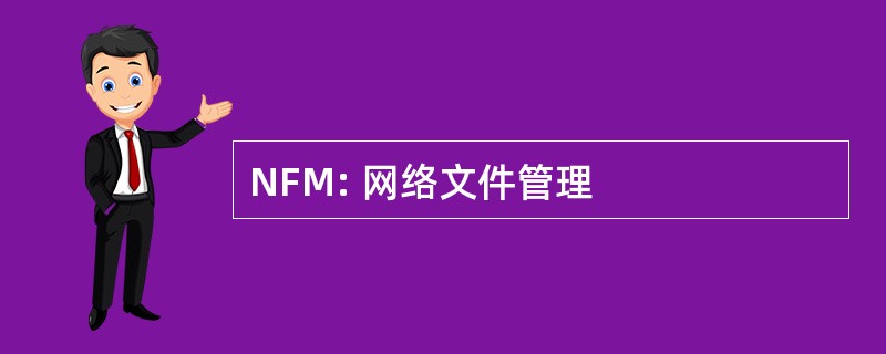 NFM: 网络文件管理