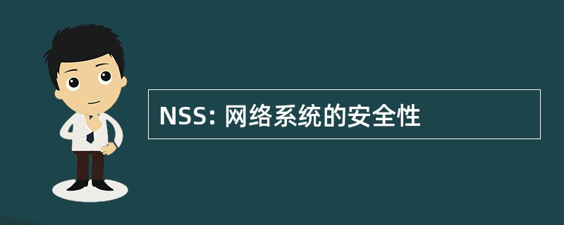 NSS: 网络系统的安全性