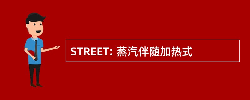 STREET: 蒸汽伴随加热式