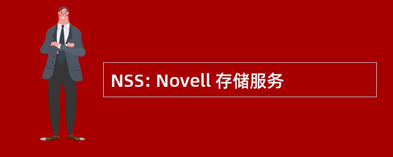 NSS: Novell 存储服务