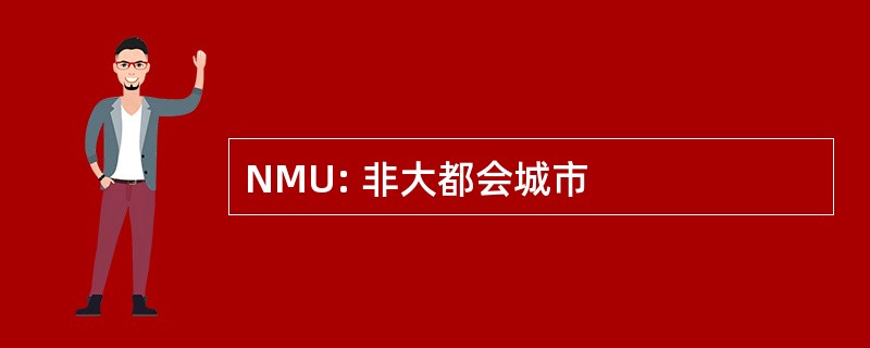 NMU: 非大都会城市