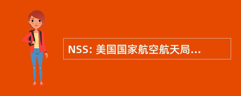 NSS: 美国国家航空航天局安全标准