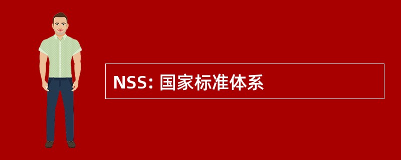 NSS: 国家标准体系