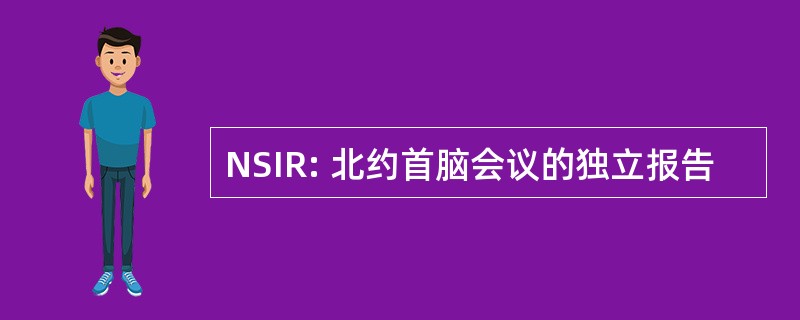 NSIR: 北约首脑会议的独立报告