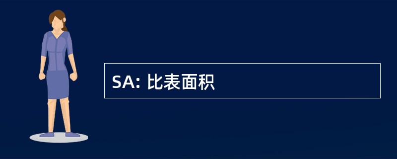 SA: 比表面积