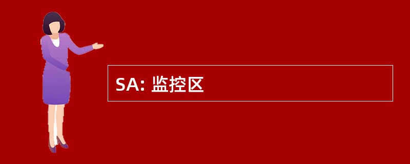 SA: 监控区