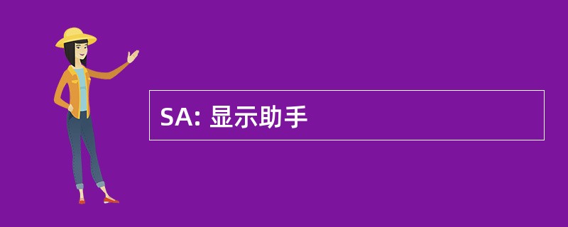 SA: 显示助手