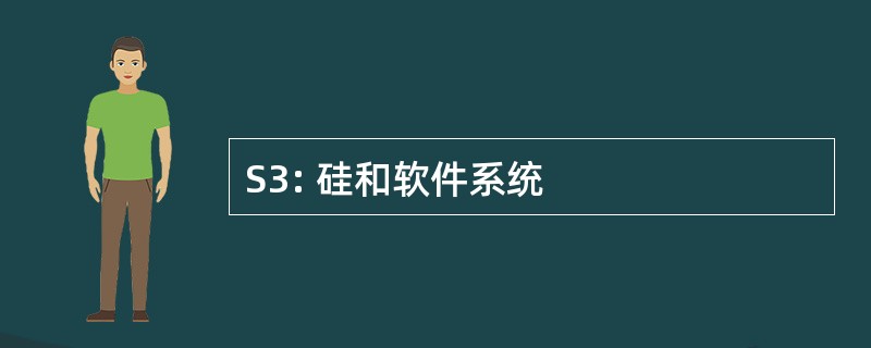 S3: 硅和软件系统