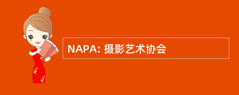 NAPA: 摄影艺术协会