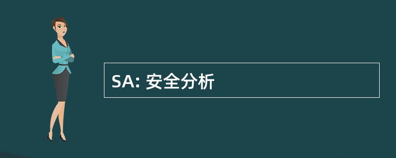 SA: 安全分析