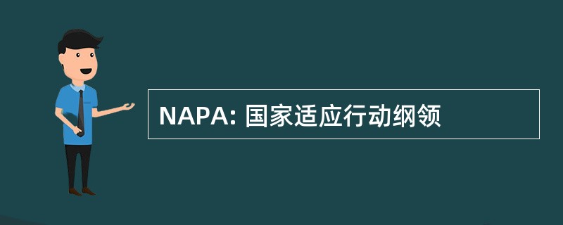 NAPA: 国家适应行动纲领