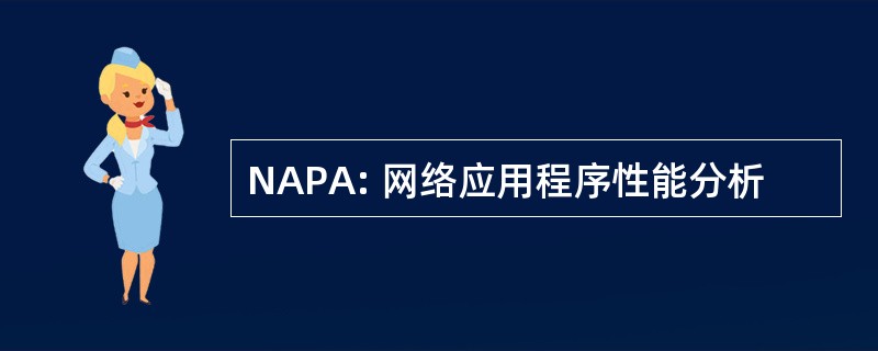 NAPA: 网络应用程序性能分析