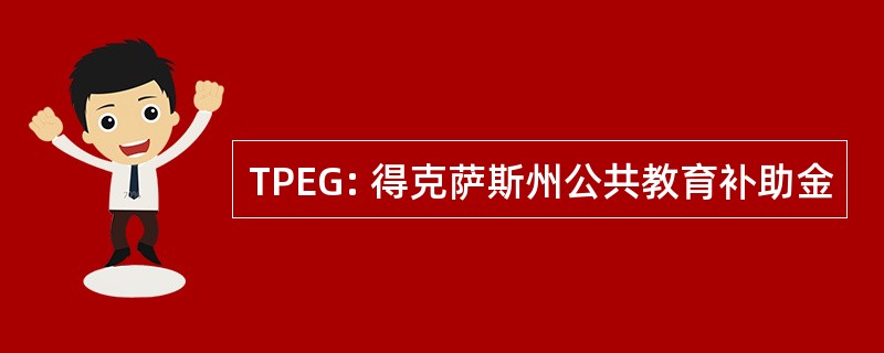 TPEG: 得克萨斯州公共教育补助金