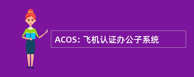 ACOS: 飞机认证办公子系统