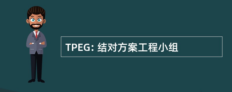 TPEG: 结对方案工程小组