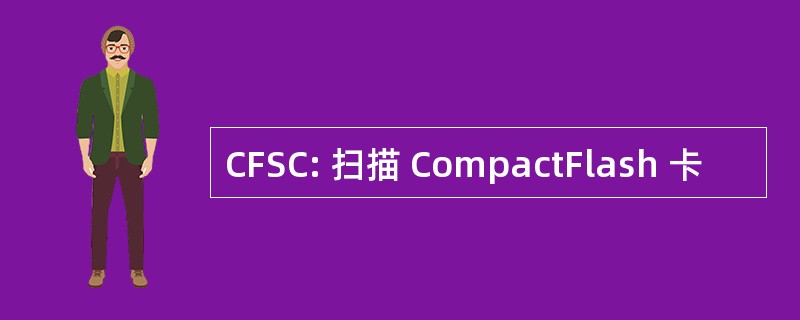 CFSC: 扫描 CompactFlash 卡