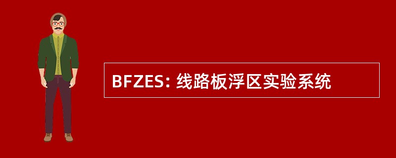 BFZES: 线路板浮区实验系统