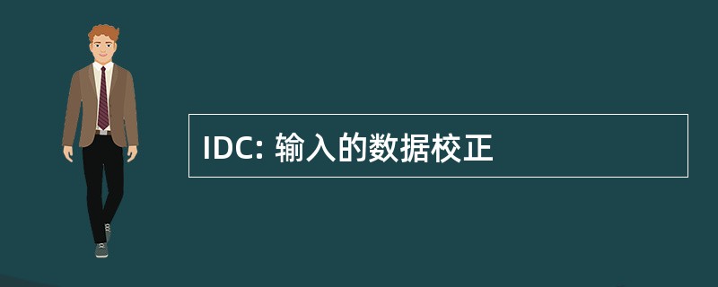 IDC: 输入的数据校正