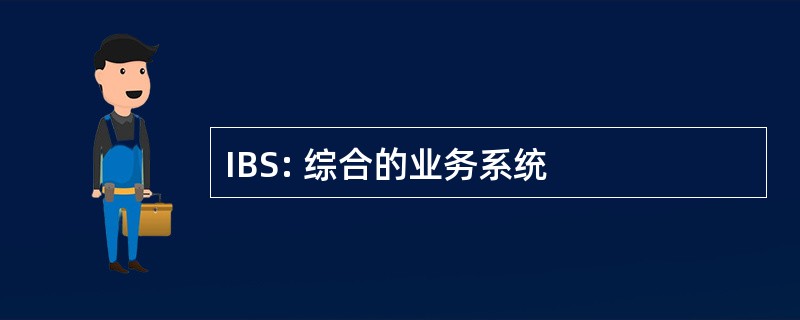 IBS: 综合的业务系统