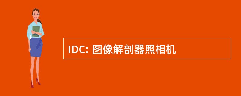 IDC: 图像解剖器照相机