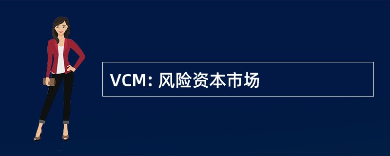 VCM: 风险资本市场