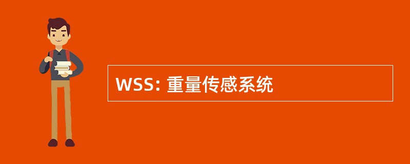 WSS: 重量传感系统