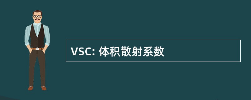 VSC: 体积散射系数