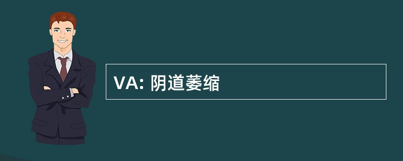 VA: 阴道萎缩