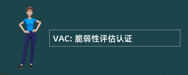 VAC: 脆弱性评估认证