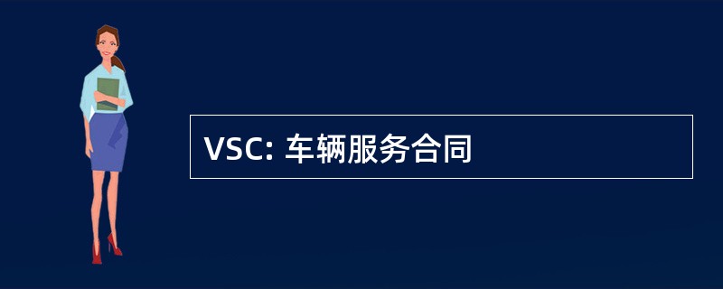 VSC: 车辆服务合同