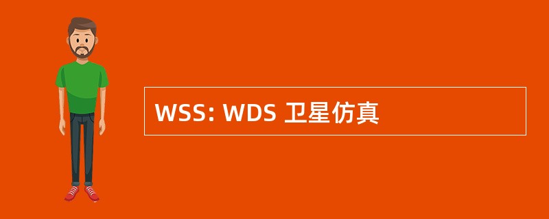 WSS: WDS 卫星仿真