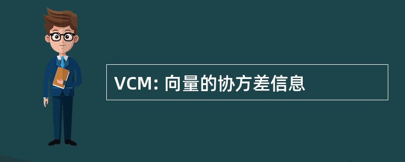 VCM: 向量的协方差信息