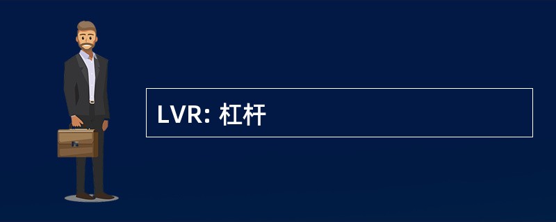 LVR: 杠杆