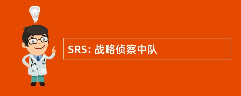 SRS: 战略侦察中队