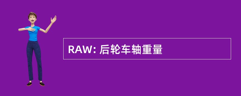 RAW: 后轮车轴重量