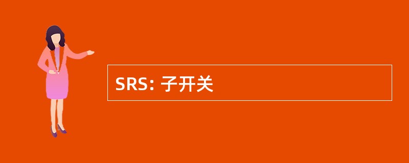 SRS: 子开关