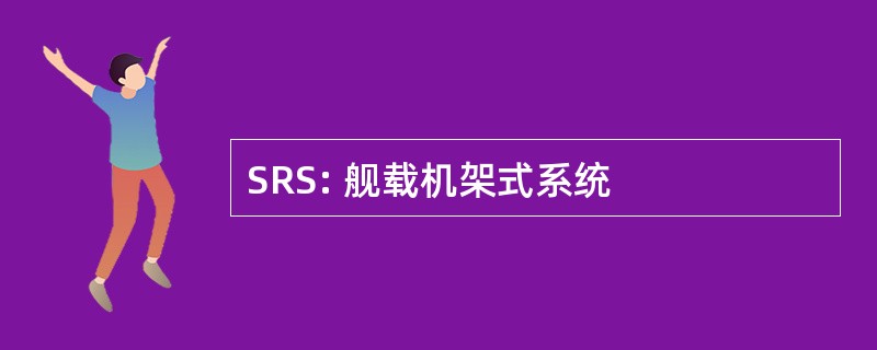 SRS: 舰载机架式系统