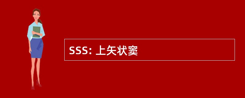 SSS: 上矢状窦