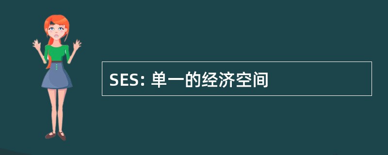 SES: 单一的经济空间