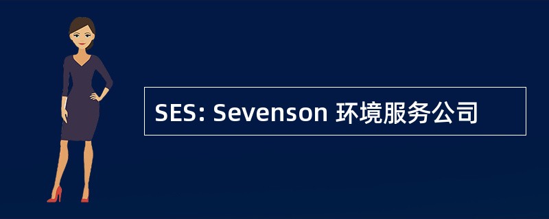 SES: Sevenson 环境服务公司