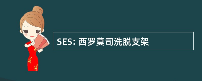 SES: 西罗莫司洗脱支架