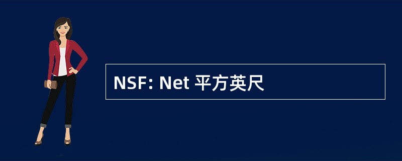 NSF: Net 平方英尺