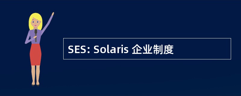 SES: Solaris 企业制度