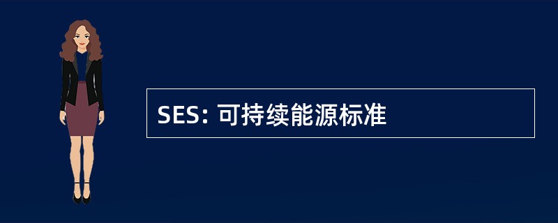 SES: 可持续能源标准