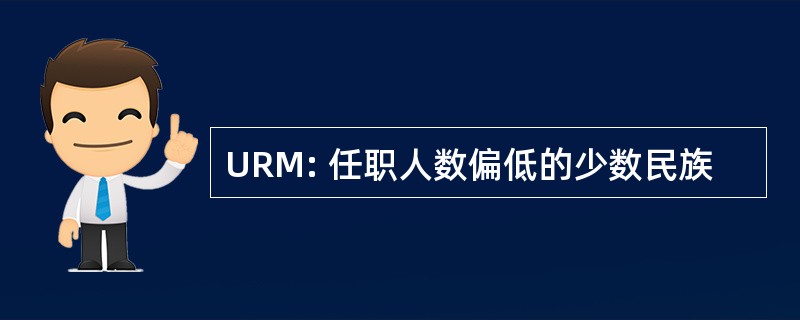 URM: 任职人数偏低的少数民族